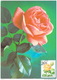 Moldova  2009  Rosa  Trandafir  Maximum Karte / Card - Rosen