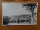 Delcampe - D150106 Old Photo - Romania   Carpathian Mountains  1959 -  5 Photos - Autres & Non Classés