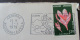 Delcampe - 3 Enveloppes Andorre Français 1979 Avec Timbres YT N°247x2/281 - Lettres & Documents