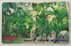 Botanical Garden - Micronesia