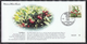 Germany Oberhof 1991 / Cranberry / Fruit / Preiselbeere - Obst & Früchte