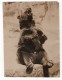USA? Ours Brun? Zoo Non Identifie Ancienne Photo 1930 - Other & Unclassified