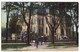 London Ontario Canada, Collegiate Institute And Students 1900s Vintage Old Postcard - London