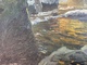 Delcampe - IM BODETAL 1907(Treseburg Thale Harz Sachsen) Gemälde Impressionismus Klein Walter 1887 Salzuflen-Berlin (tableau Ölbild - Oelbilder