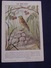 Bird-oiseaux-Ornithologie ,"LE BRUANT " ,Coll. Buisson /illust.G.P.Galey. - Vögel