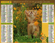 Calendrier Almanach La Poste 2000 CHATONS - Grand Format : 1991-00