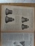 Delcampe - 97/SCIENCES ET VOYAGES N° 379  1926 Comment On Recolte Le Venin Des Serpents , Les Femmes Au Travail A Travers Le Monde - 1900 - 1949