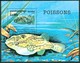 1999 Cambogia Vita Marina Marine Life Pesci Fish Fische Poissons Set MNH** Po31 - Pesci