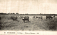 EN SOLOGNE UN ETANG VACHES AU PATURAGE - Vaches