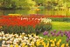 Keukenhof - Lisse - Lisse