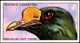TOBACCO-CIGARETTES LABELS-JOHN PLAYERS & SONS-BIRDS-CURIOUS BEAKS-BIG COLLECTION-SCARCE-D4 - Autres & Non Classés