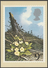 British Flowers, 9p, Primroses, 1979 - Royal Mail Stamp Card PHQ 34a - PHQ Cards