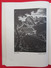Delcampe - DEUTSCHE GRAPHIK - Art Book, Monograph, Painting, Period III Reich, Berlin, Germany - Grafismo & Diseño