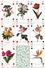 Jeu De 54 Cartes Fleur Fleurs Flower - Playing Cards - 54 Carte