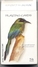 Jeu De 54 Cartes Animal Animaux Oiseau Oiseaux Bird Vogel - 54 Kaarten