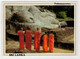 SRI LANKA    POLONNARUWA   BUDDHIST MONKS DURING  OFFERING     MAXICARD      2 SCAN    (VIAGGIATA) - Sri Lanka (Ceylon)