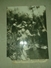 $3 USA ARMY AIR FORCE 1944 WW2 FOTO MARSEILLE SUBMARINE PENS RAID DECEMBER 2nd - Altri & Non Classificati