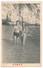 REAL PHOTO Swimsuit Woman  Man And Kid Girl On Beach, Femme Maillot De Bain Homme Nu Et Fillette Plage Old ORIGINAL - Other & Unclassified