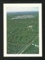Saudi Arabia Picture Postcard Aerial View Palm Farms Kingdom Saudi Arabia View Card - Arabie Saoudite