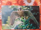 Falcon - Old USSR   Postcard  Falco /  FAUCON -  1985 - Oiseaux