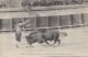 Corrida - Tauromachie - Course De Taureau - Nîmes 1919 - Militaria Régiment Roumanie - Corrida