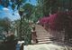 Taormina - The Public Garden    Italy.  # 06421 - Other & Unclassified