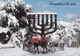 JERUSALEM  SOUS LA NEIGE (dil301) - Israel