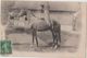 CPA 61 LE MERLERAULT HARAS DU PIN Cheval Etalon MEGOFOL Editeur Mme Julienne 1913 - Le Merlerault