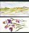 Stationery Greeting Cards - Watercolor  By Yvonne S. Fastrup   -  Four (4) Cards -1981 - Acuarelas