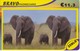 TARJETA DE HOLANDA DE UNOS ELEFANTES (ELEFANTE-ELEPHANT) - Otros & Sin Clasificación