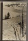 PAIRE DE SKIS - Montagne - Ski -  CARTE PHOTO - Sports D'hiver