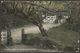 Illogan Woods, Near Camborne, Cornwall, 1909 - Empire Series Postcard - Other & Unclassified
