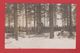 Lettonie -  Carte Photo  -- Cimetière Allemand De Sille Au Kurtland  -  1917 - Latvia