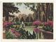 Delcampe - Mobile AL, Bellingrath Gardens 12 X 1930s Views Lot / Collection Vintage Alabama Postcard Set - Mobile