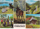 Alemagne , Schwarzwald , Postcard - Other & Unclassified