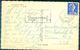 G110- Postal Used Post Card. Posted From France To USA. United State Of America. Tree. - Other & Unclassified