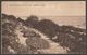 Rock Gardens & Crazy Path, Westcliff-on-Sea, Essex, 1957 - Postcard - Southend, Westcliff & Leigh