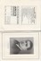 Delcampe - 75 - Programme Théatre Des Variétés Saison 1936-1937 ( 40 Pages Format 18 Cm X 13,5 Cm )    Très Rare - Programma's