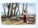 Post Card From Poland Art Painting Animals Sheeps - Covers & Documents