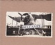 Guerre 39/45 - DAKAR 1940 - Photo Originale D'un Avion Anglais Abattu Pendant Les Combats ( Sénégal ) - Oorlog, Militair