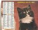 ALMANACH DES P.T.T. 1980 CALENDRIER CHARENTE MARITIME CHATS - Grand Format : 1971-80