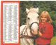 ALMANACH DES P.T.T. 1985 CALENDRIER CHARENTE MARITIME CHEVAL CHIEN - Tamaño Grande : 1981-90