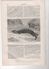 Delcampe - LA NATURE 10 05 1879 - LUMIERE ELECTRIQUE - CIRCULATION SANG - PEROU MINES ARGENT CERRO DE PASCO - LAVOISIER - LEZARDS - 1850 - 1899