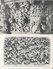 Cathédrale De Reims, Vues Intérieur Et Extérieur - Lot De 20 Cartes Non Circulées (Nef, Statues, Bas-relief, Sculptures) - 5 - 99 Postcards