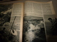 Delcampe - 1953 SETA : La Pêche Au GROS ,des Bahamas Au Pays Basque En Passant Par La Nouvelle Ecosse; Satellite Artificiel ; Etc - Ciencia