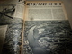 1954 SETA :Vide Interstellaire;HUÎTRES ,vie étrange;Plantes Extraordinaires;Gulf-Stream;Gennevilliers-Port;JERICHO;etc - Science