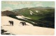 RB 1164 - 1906 Postcard - Horses &amp; View From Mt. Kosciusko - Newcastle NSW Australia - Other & Unclassified