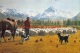 Glentanner Station - Mustering Sheep - Mount Cook - Canterbury - New Zealand - Nouvelle-Zélande