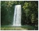 (727) Australia - QLD - Millaa Millaa Falls - Atherton Tablelands