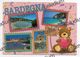 SARDEGNA ORSO BEAR - XXL Card - Big Format - Cagliari